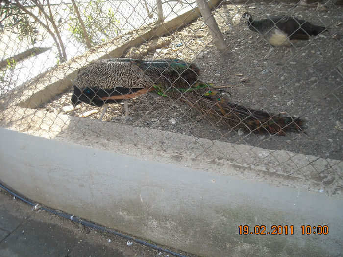 DSCN1788