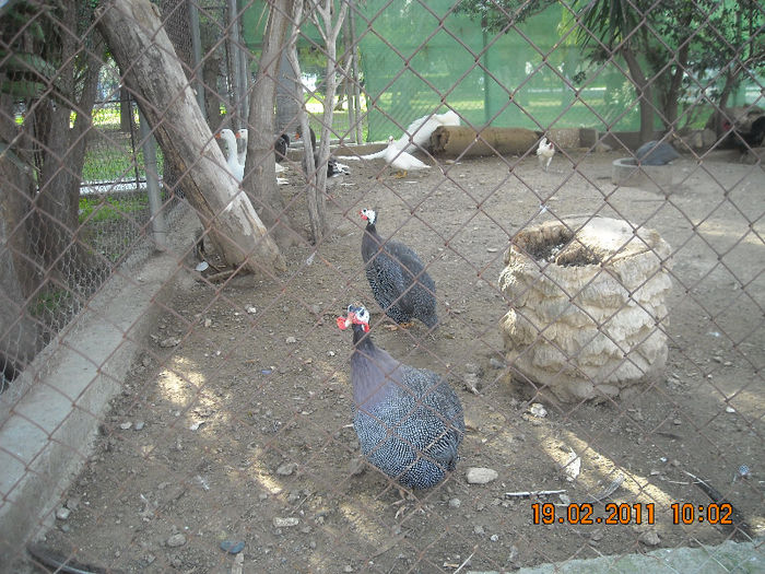 DSCN1795