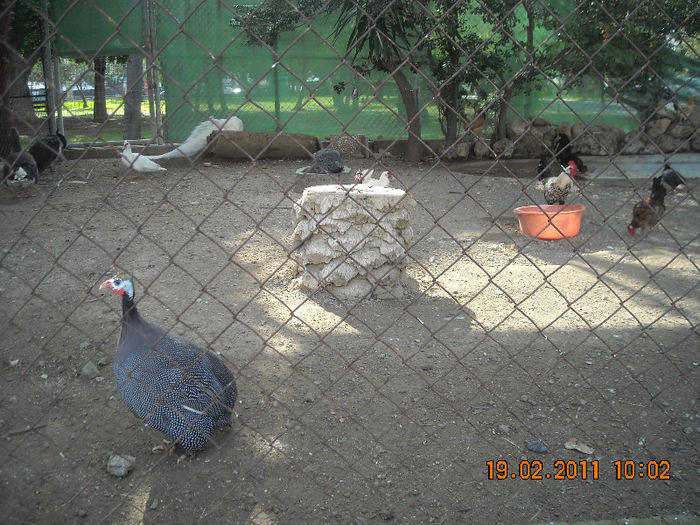 DSCN1796