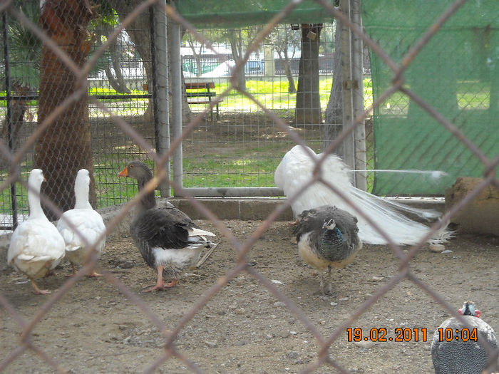 DSCN1800