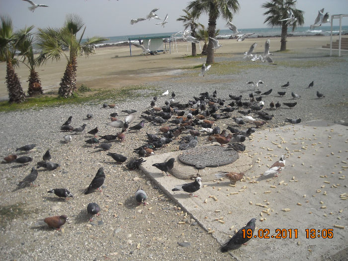 DSCN1803