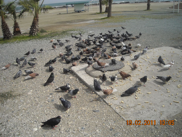 DSCN1804