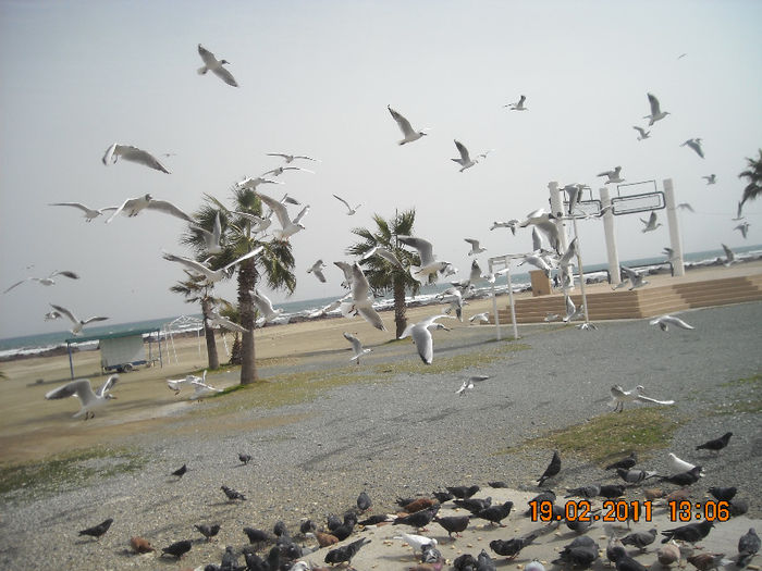 DSCN1807