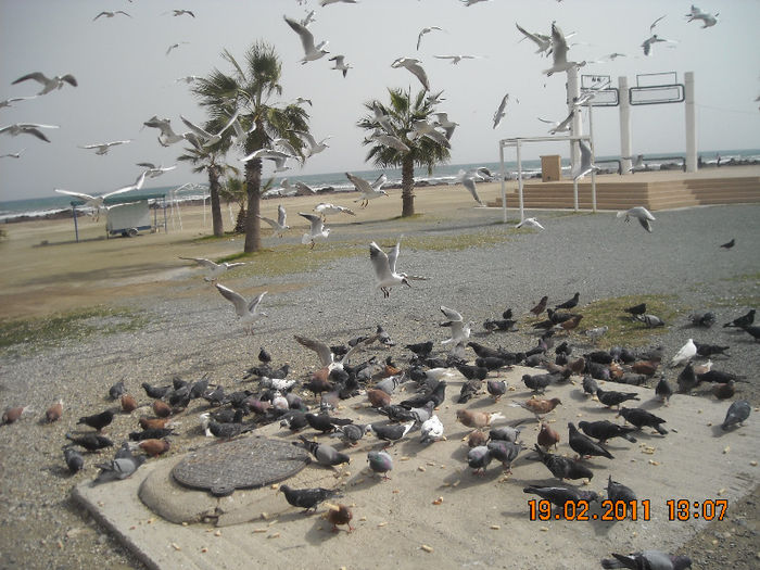 DSCN1808