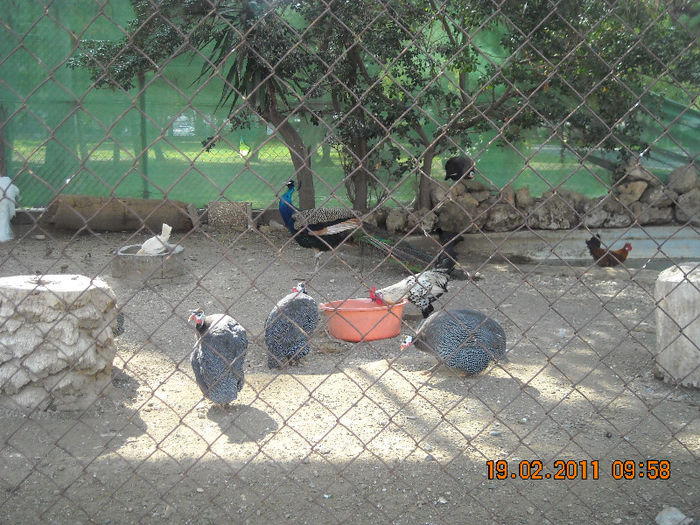 DSCN1777