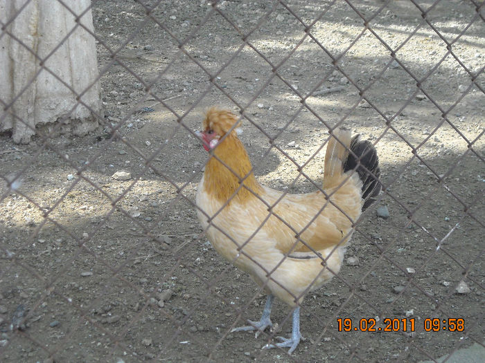 DSCN1778