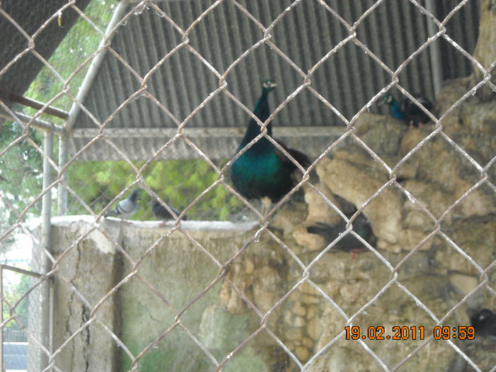 DSCN1785