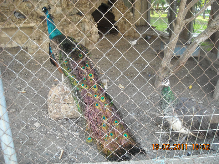 DSCN1794