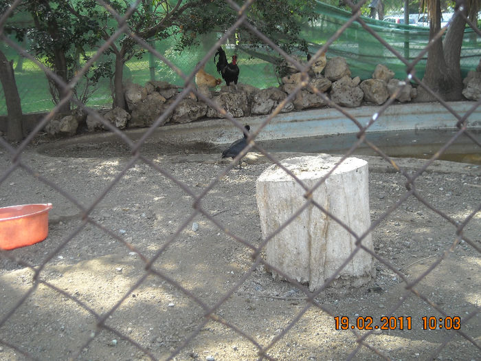 DSCN1797