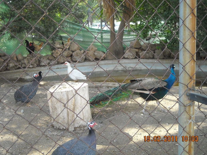 DSCN1798