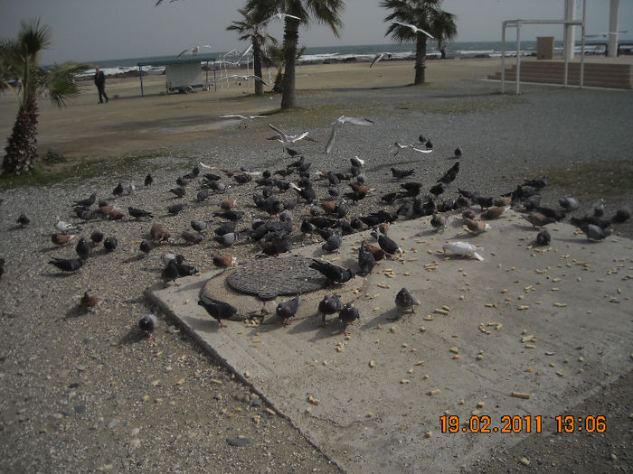 DSCN1805