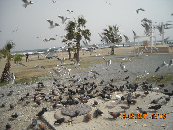 DSCN1806