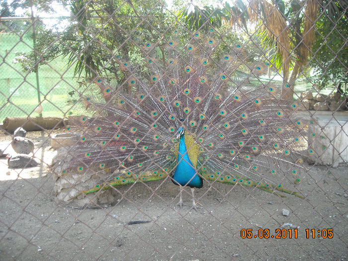 DSCN1842