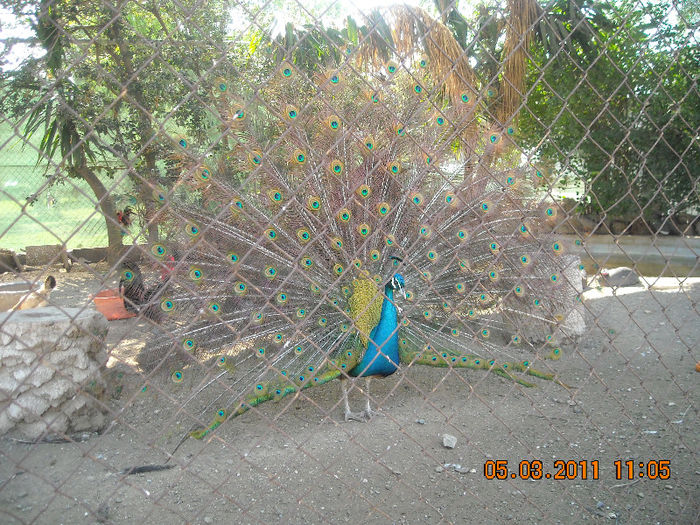 DSCN1843