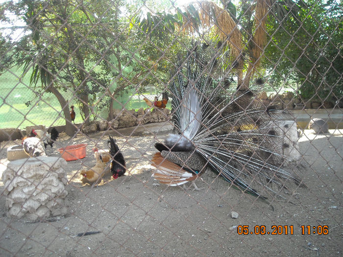 DSCN1844