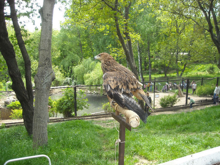 DSCN2007