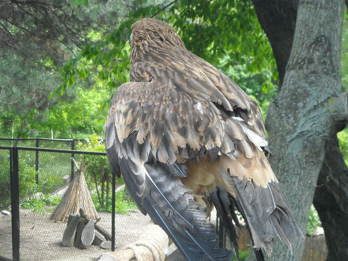 DSCN2009