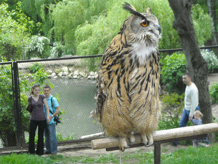 DSCN2010
