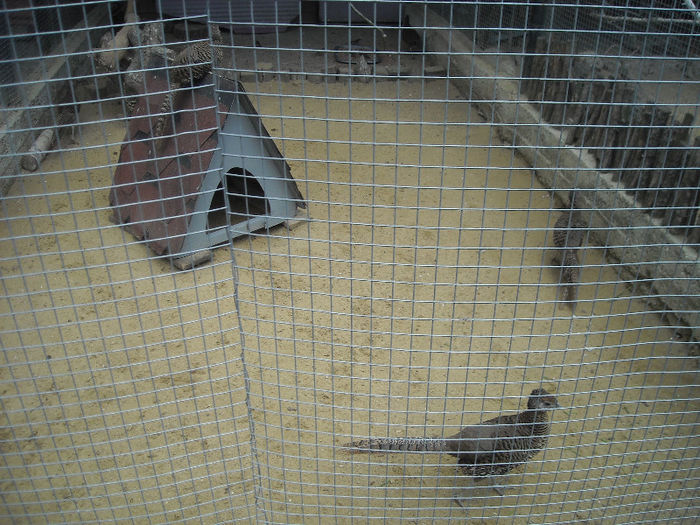 DSCN2070
