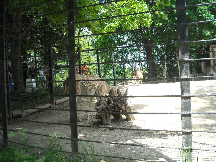 DSCN2091