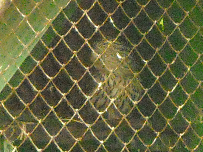 DSCN2098
