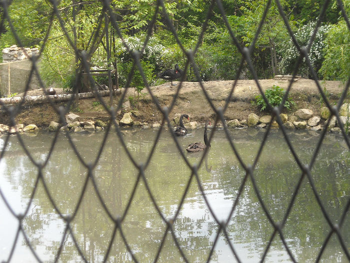 DSCN2115
