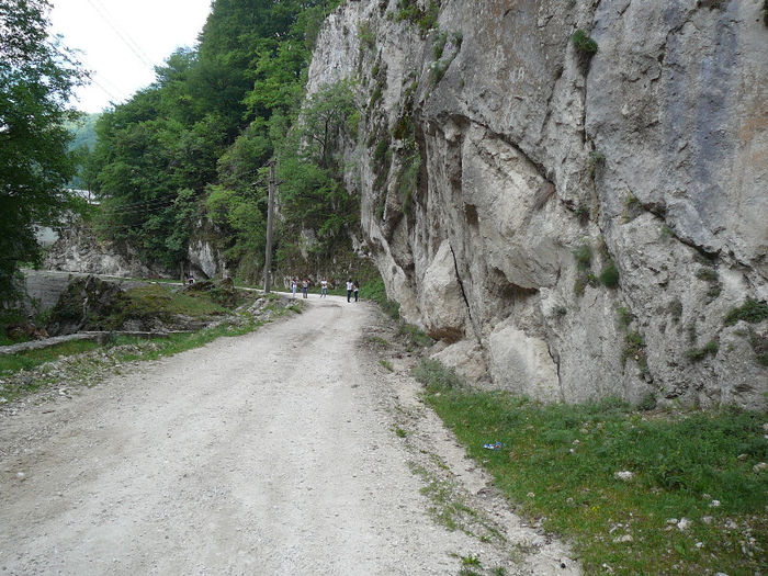 P1490144 - 2013 - 25 mai excursie