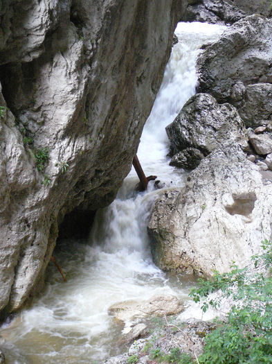 P1490148 - 2013 - 25 mai excursie