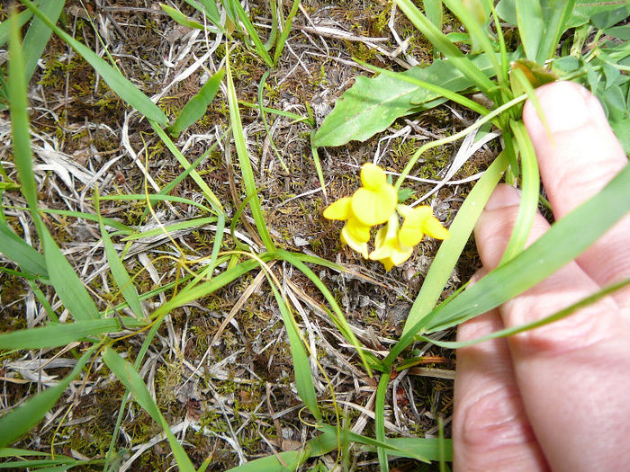 P1490205