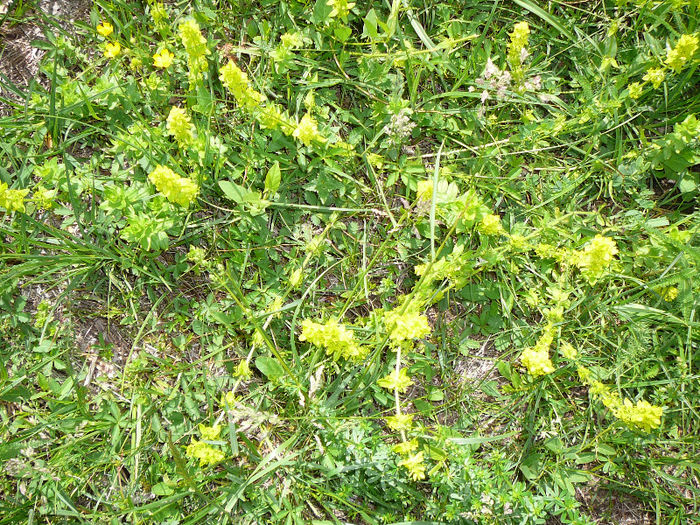P1490214