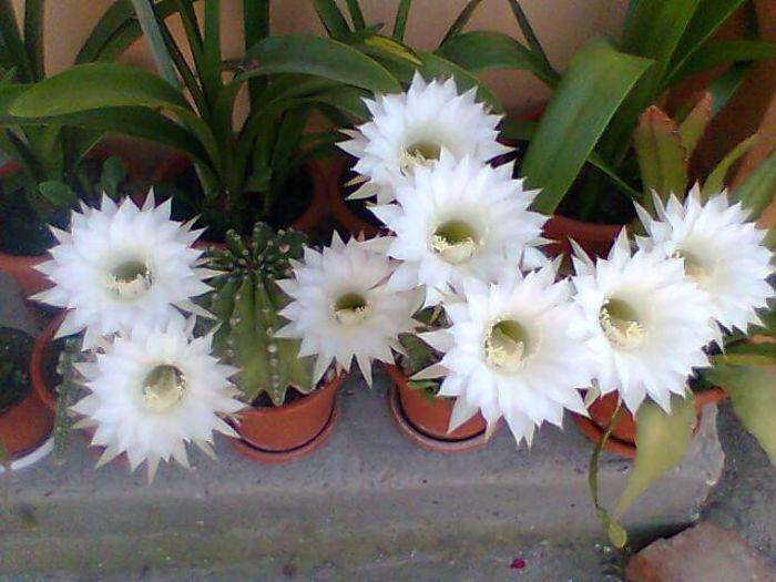 Imag014