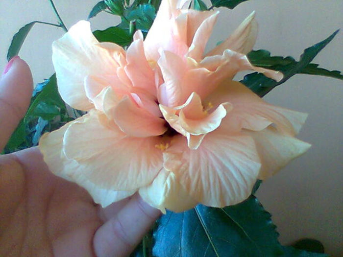 Imag015