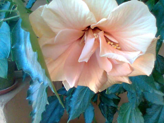 Imag016