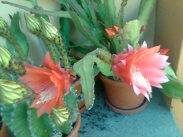 Imag025
