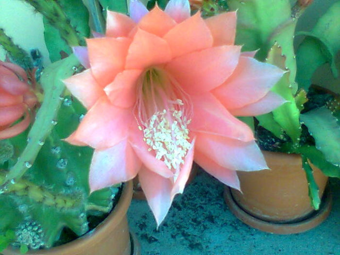 Imag027