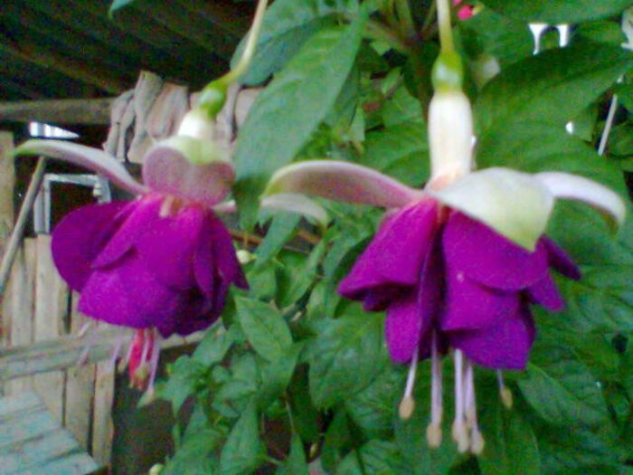 Imag040