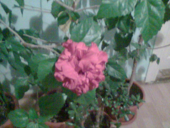 Imag053