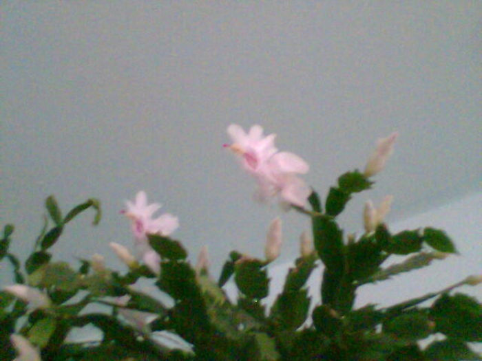 Imag054