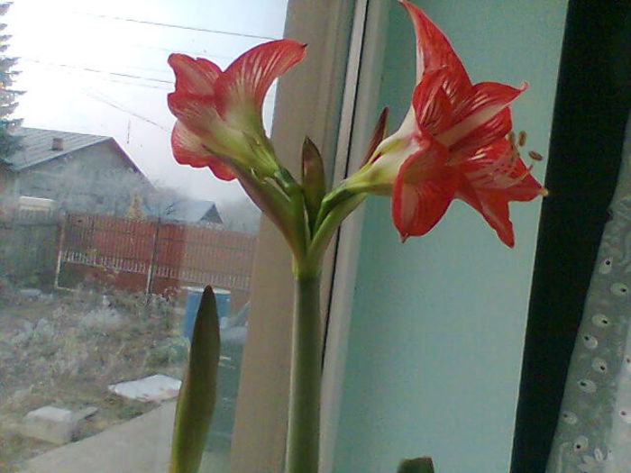 Imag055