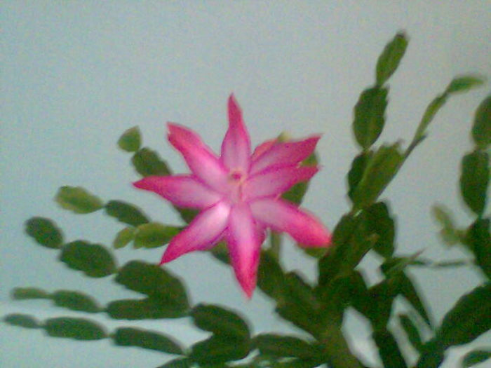 Imag060