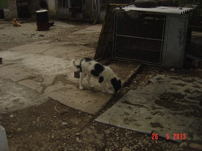Picture 086