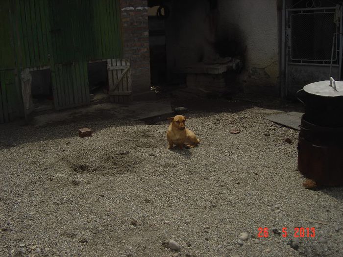 Picture 088