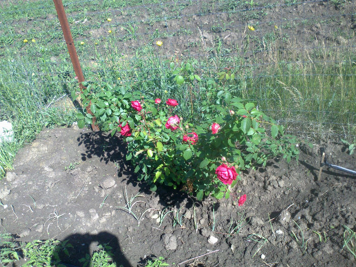 26052013573