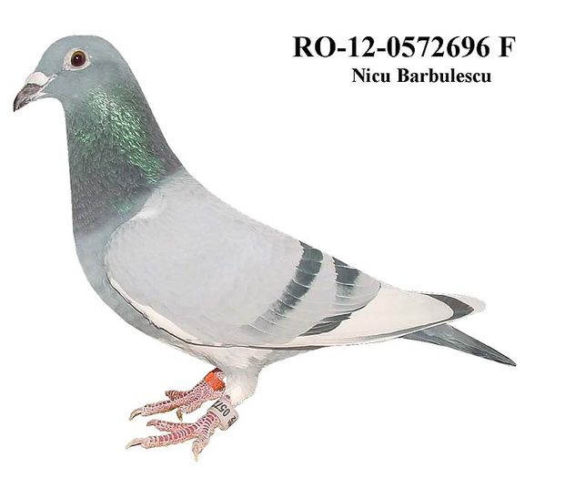 226_Ro-12-0572696%20F