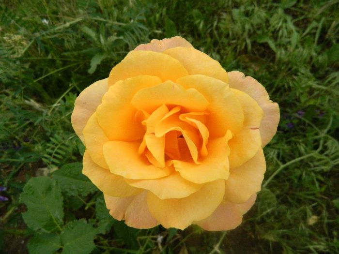 DSCN9533