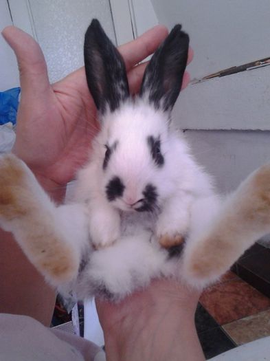 iiiiiiiiiiiiiiiiiiiiiii