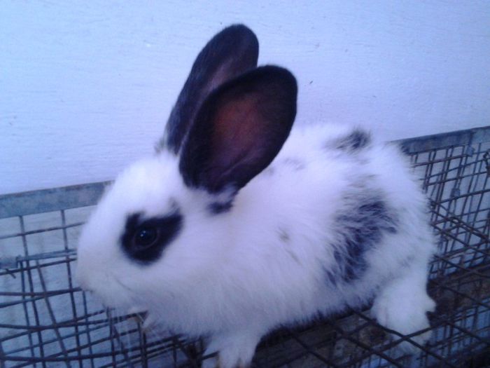 iiiiiiiiiiiiiiiiiiiiiiiii