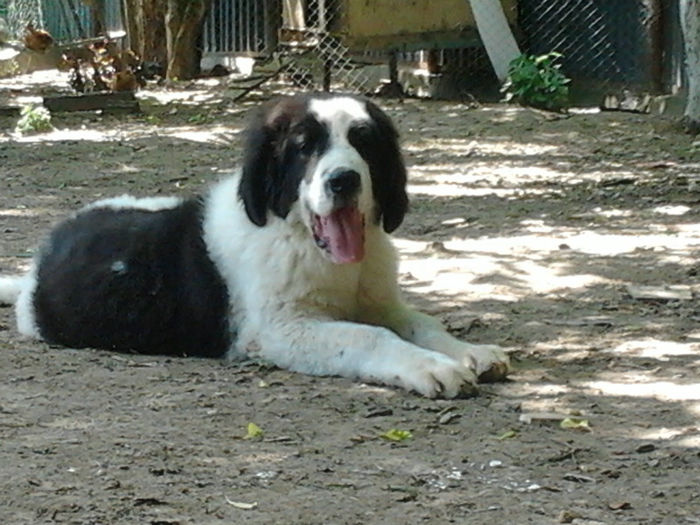 2013-05-26 12.27.17 - Molda