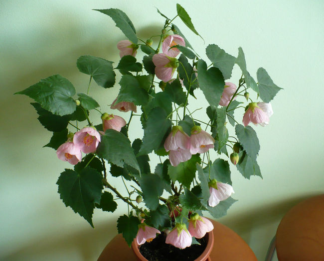 P1440217