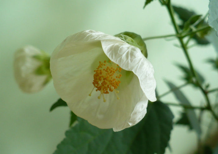 P1440237